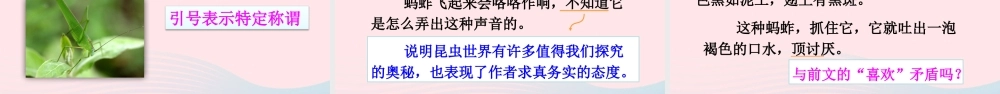 三年级语文下册 第一单元 4《昆虫备忘录》优质课件 新人教版-新人教版小学三年级下册语文课件