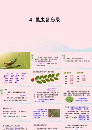 三年级语文下册 第一单元 4《昆虫备忘录》优质课件 新人教版-新人教版小学三年级下册语文课件