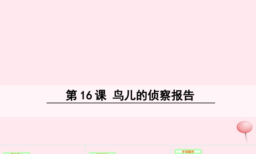 三年级语文下册 第四单元 16 鸟儿的侦察报告课件 语文S版-语文S版小学三年级下册语文课件