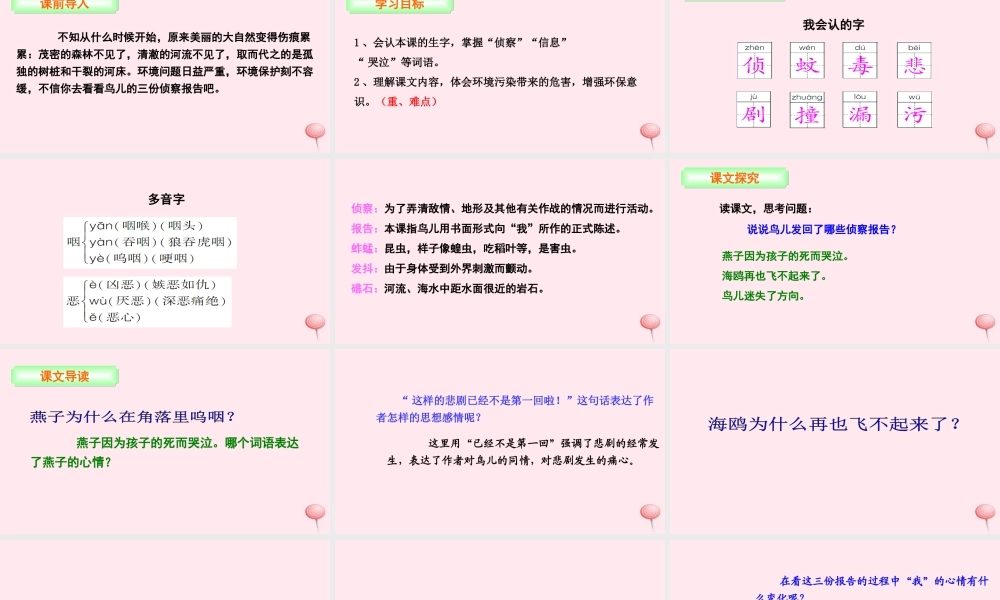 三年级语文下册 第四单元 16 鸟儿的侦察报告课件 语文S版-语文S版小学三年级下册语文课件