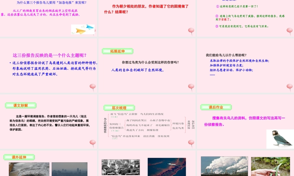 三年级语文下册 第四单元 16 鸟儿的侦察报告课件 语文S版-语文S版小学三年级下册语文课件