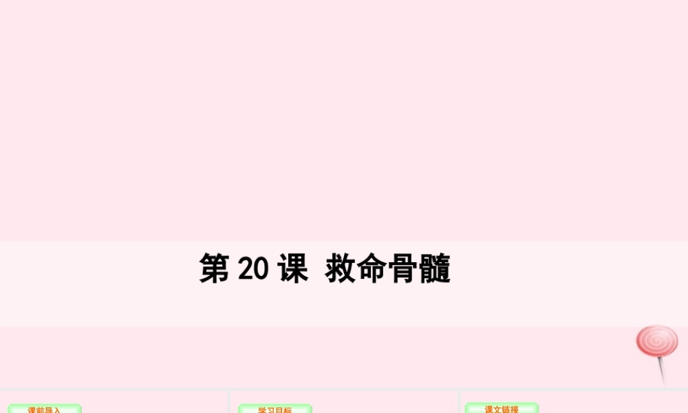 三年级语文下册 第五单元 20 救命骨髓课件 语文S版-语文S版小学三年级下册语文课件