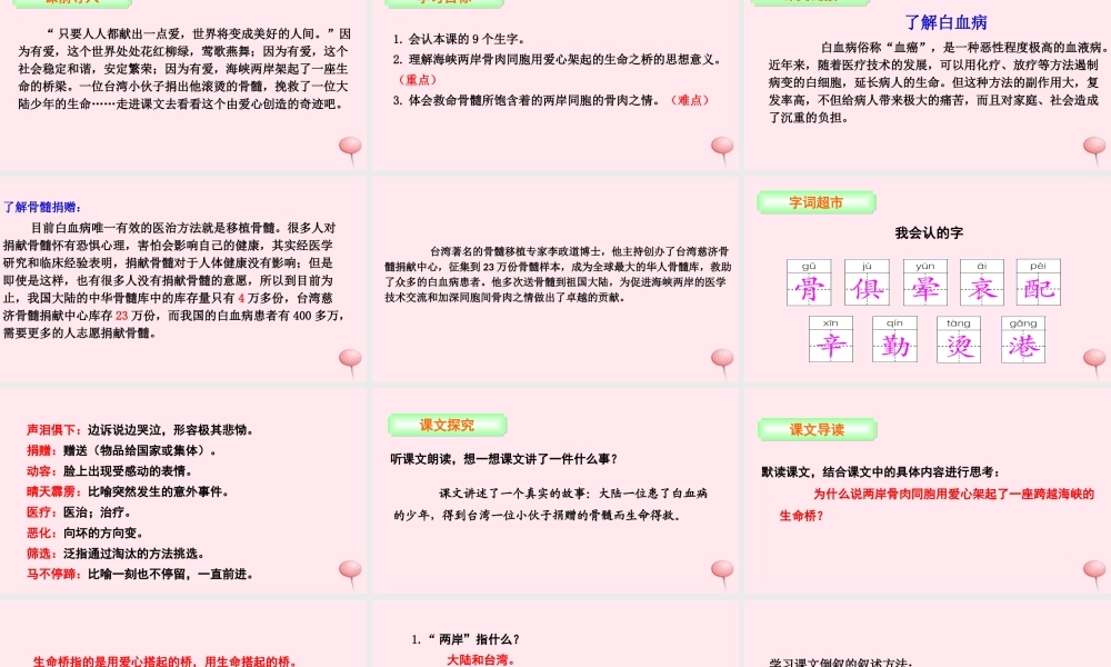 三年级语文下册 第五单元 20 救命骨髓课件 语文S版-语文S版小学三年级下册语文课件