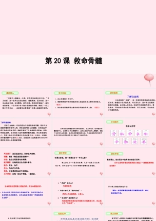 三年级语文下册 第五单元 20 救命骨髓课件 语文S版-语文S版小学三年级下册语文课件
