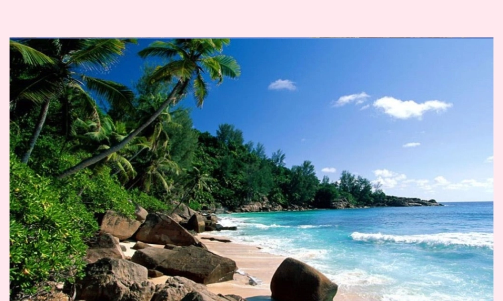 三年级语文下册 第四单元 第11课《赶海》课件 苏教版