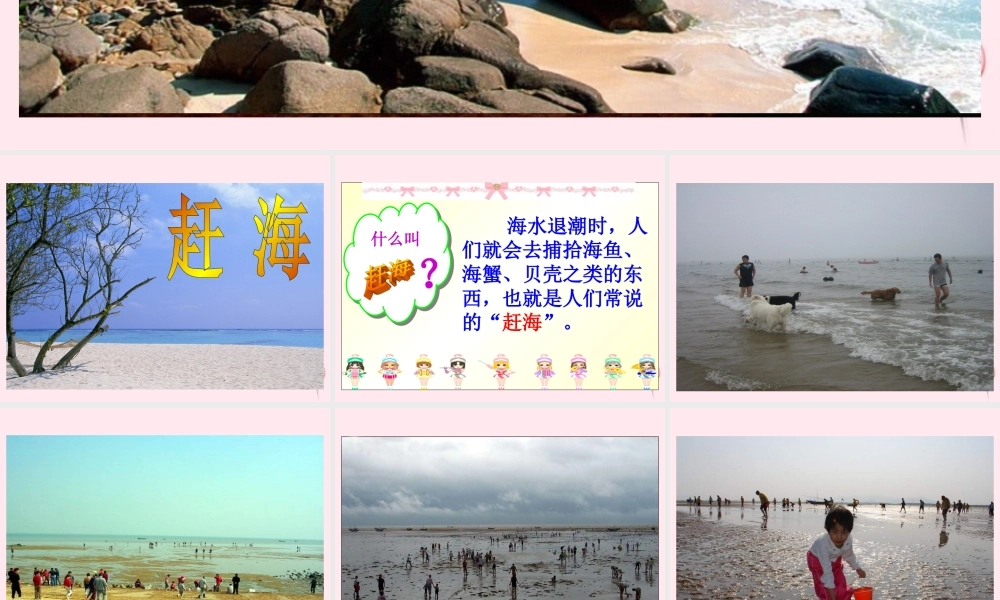 三年级语文下册 第四单元 第11课《赶海》课件 苏教版