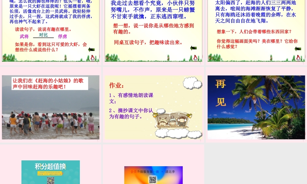 三年级语文下册 第四单元 第11课《赶海》课件 苏教版