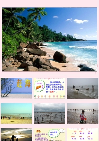 三年级语文下册 第四单元 第11课《赶海》课件 苏教版