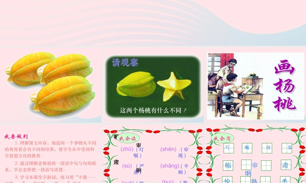三年级语文下册 第三组 11《画杨桃》课堂教学课件2 新人教版-新人教版小学三年级下册语文课件