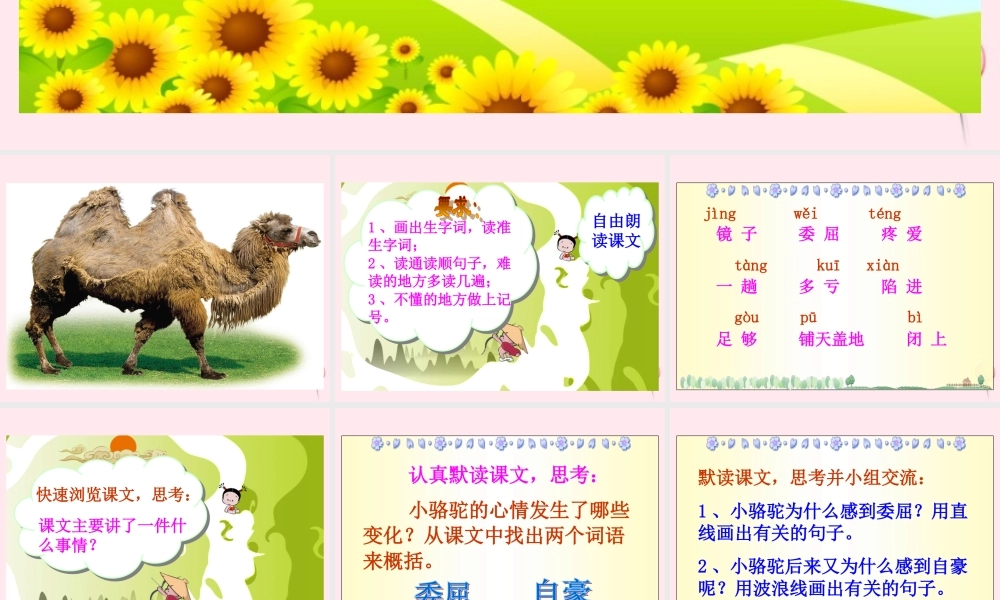 三年级语文下册 第五单元 第15课《我应该感到自豪才对》课件 苏教版