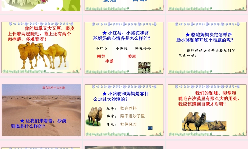 三年级语文下册 第五单元 第15课《我应该感到自豪才对》课件 苏教版