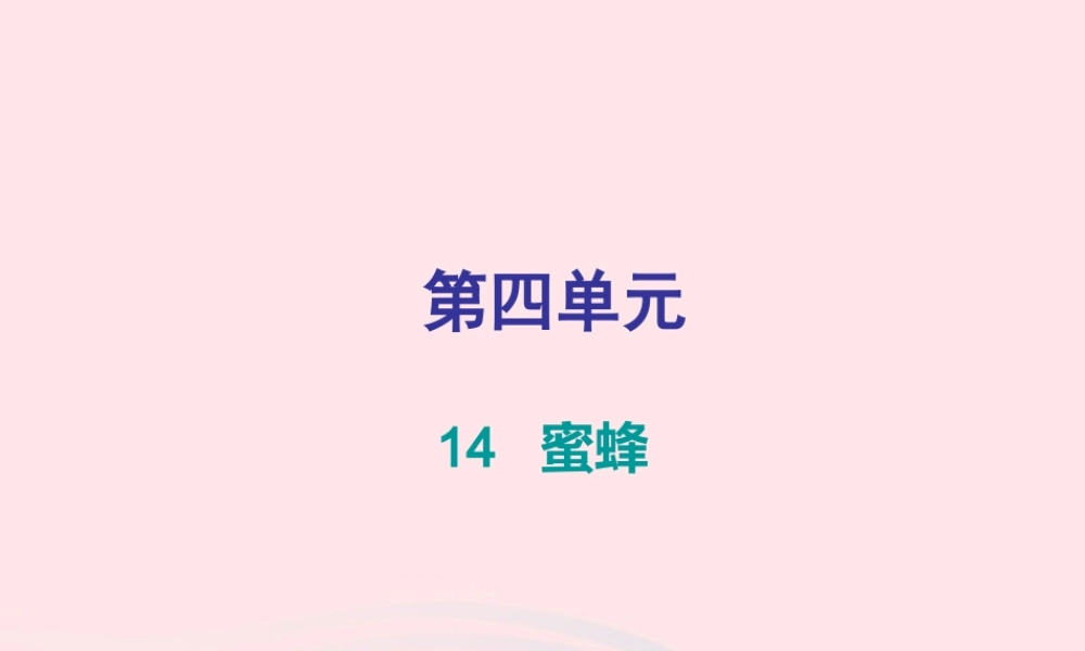三年级语文下册 第四单元 第14课蜜蜂习题课件 新人教版-新人教版小学三年级下册语文课件