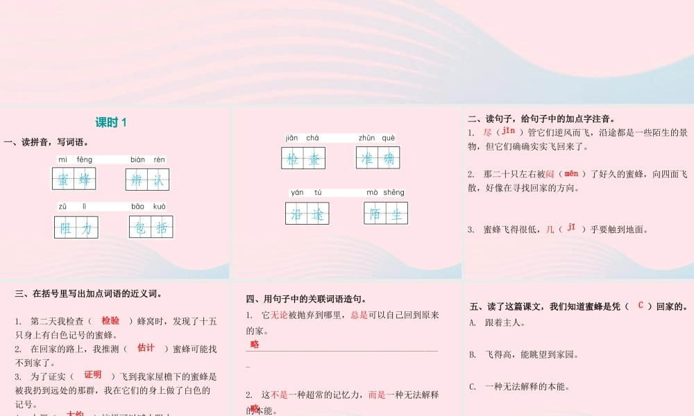 三年级语文下册 第四单元 第14课蜜蜂习题课件 新人教版-新人教版小学三年级下册语文课件