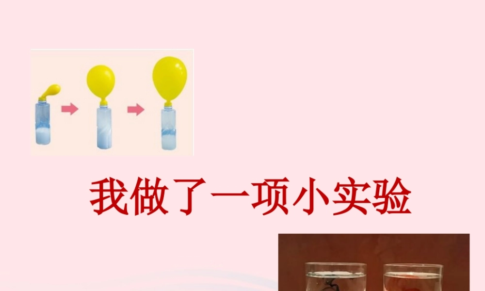 三年级语文下册 第四单元 习作 我做了一项小实验课件1 新人教版-新人教版小学三年级下册语文课件