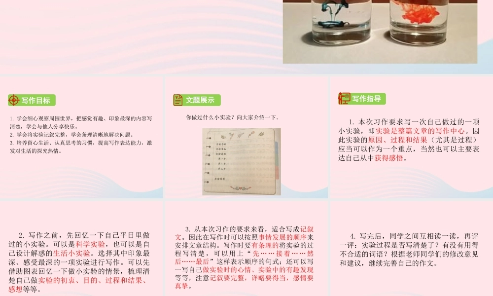 三年级语文下册 第四单元 习作 我做了一项小实验课件1 新人教版-新人教版小学三年级下册语文课件