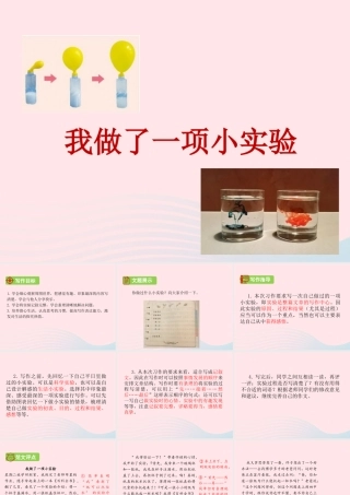 三年级语文下册 第四单元 习作 我做了一项小实验课件1 新人教版-新人教版小学三年级下册语文课件