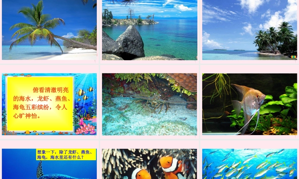 三年级语文下册 第一单元 第2课《美丽的南沙群岛》课件 苏教版-苏教版小学三年级下册语文课件