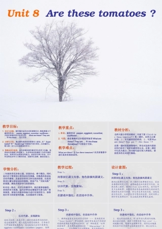 二年级英语 Unit8(2)课件 北师大版