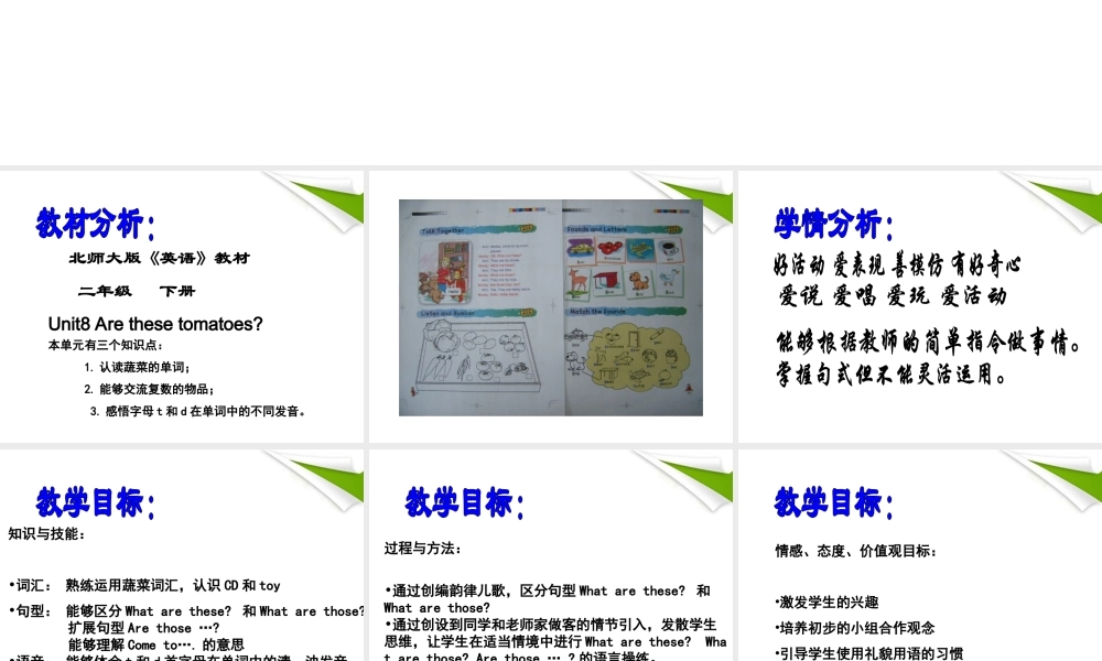 二年级英语 Unit8(3)课件 北师大版