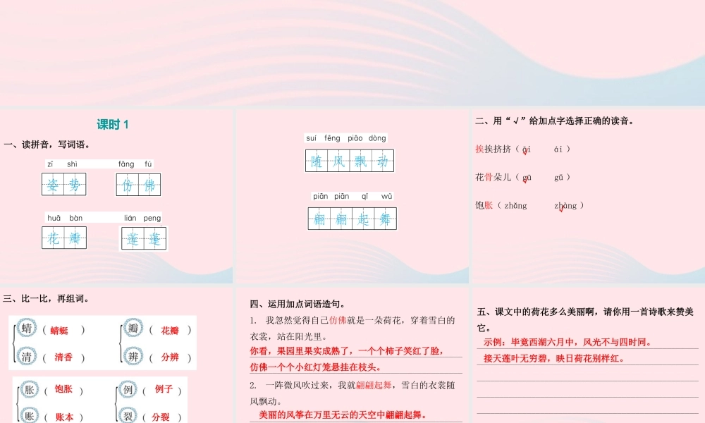 三年级语文下册 第一单元 第3课 荷花（知识盘点及练习）课件 新人教版-新人教版小学三年级下册语文课件