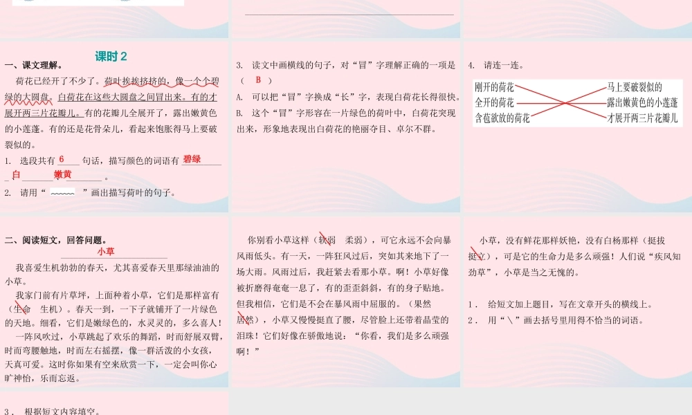 三年级语文下册 第一单元 第3课 荷花（知识盘点及练习）课件 新人教版-新人教版小学三年级下册语文课件