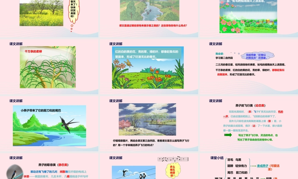 三年级语文下册 第一单元 第2课 燕子课件2 新人教版-新人教版小学三年级下册语文课件