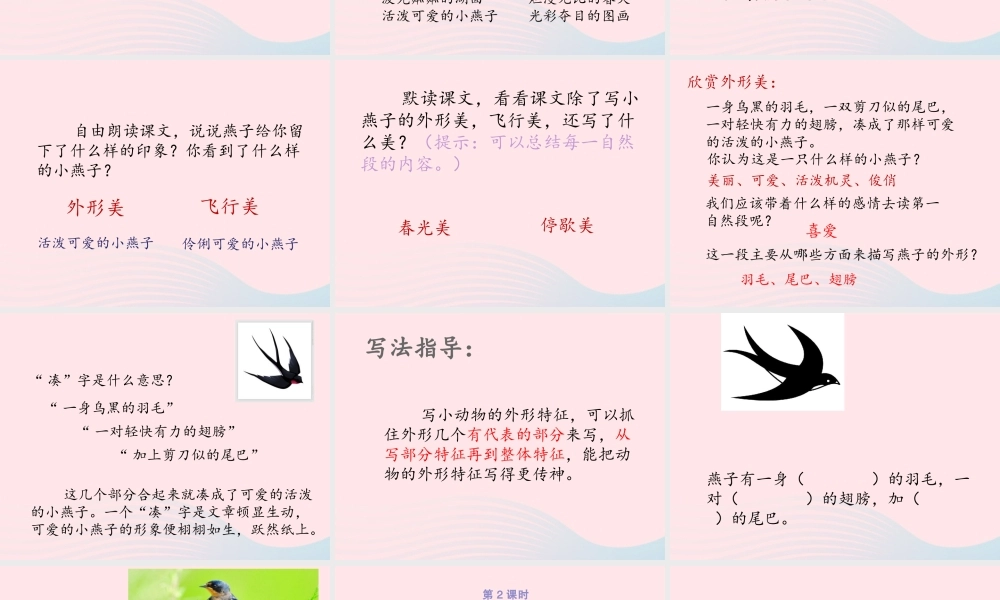 三年级语文下册 第一单元 第2课 燕子课件3 新人教版-新人教版小学三年级下册语文课件