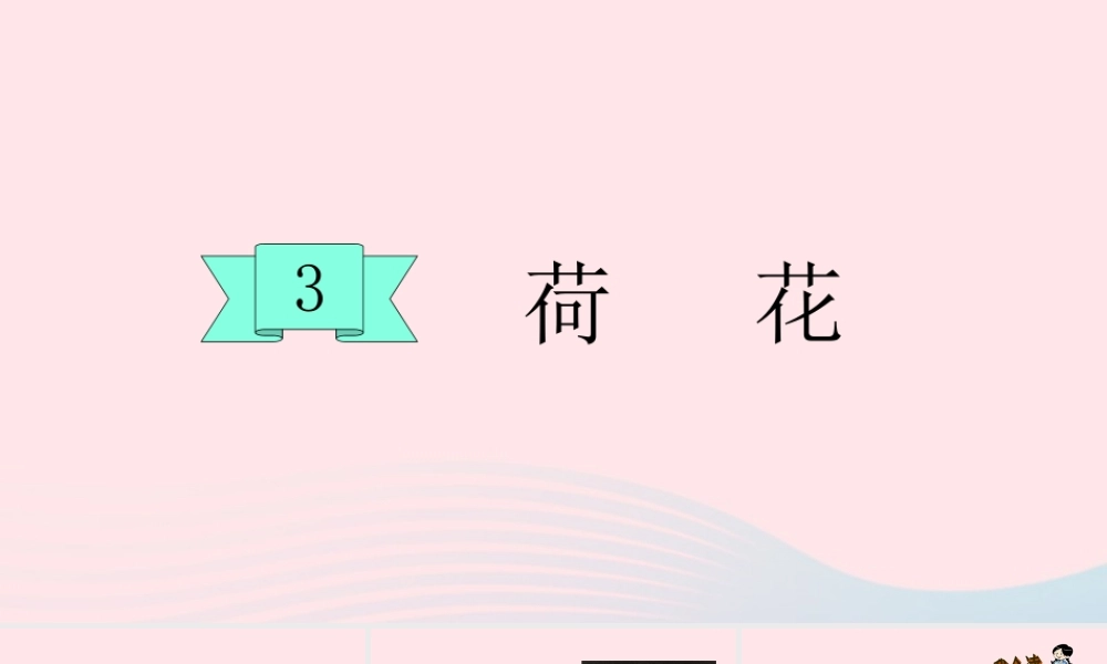 三年级语文下册 第一单元 第3课 荷花课件 新人教版-新人教版小学三年级下册语文课件