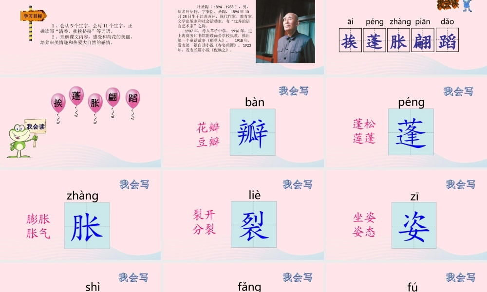 三年级语文下册 第一单元 第3课 荷花课件 新人教版-新人教版小学三年级下册语文课件