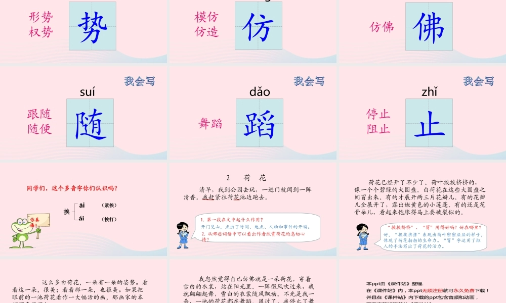 三年级语文下册 第一单元 第3课 荷花课件 新人教版-新人教版小学三年级下册语文课件