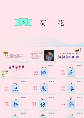 三年级语文下册 第一单元 第3课 荷花课件 新人教版-新人教版小学三年级下册语文课件