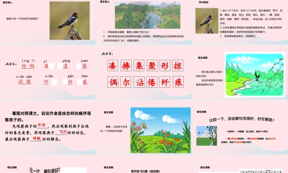三年级语文下册 第一单元 第2课《燕子》教学课件 新人教版-新人教版小学三年级下册语文课件