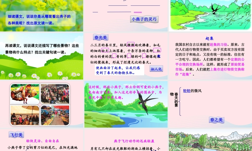 三年级语文下册 第一单元 第2课《燕子》课件 新人教版-新人教版小学三年级下册语文课件