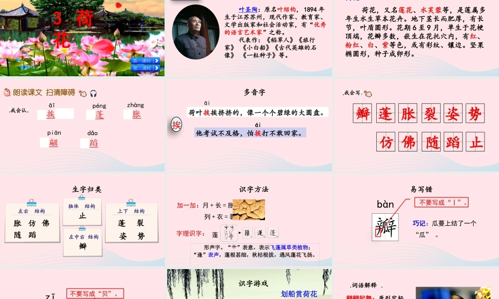三年级语文下册 第一单元 第3课 荷花课件 新人教版-新人教级下册语文课件