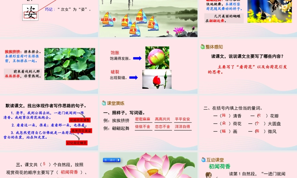 三年级语文下册 第一单元 第3课 荷花课件 新人教版-新人教级下册语文课件