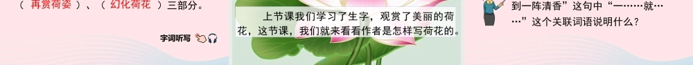 三年级语文下册 第一单元 第3课 荷花课件 新人教版-新人教级下册语文课件