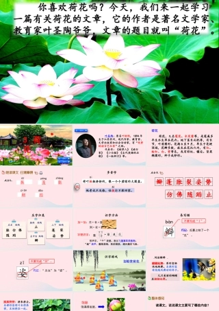 三年级语文下册 第一单元 第3课 荷花课件 新人教版-新人教级下册语文课件