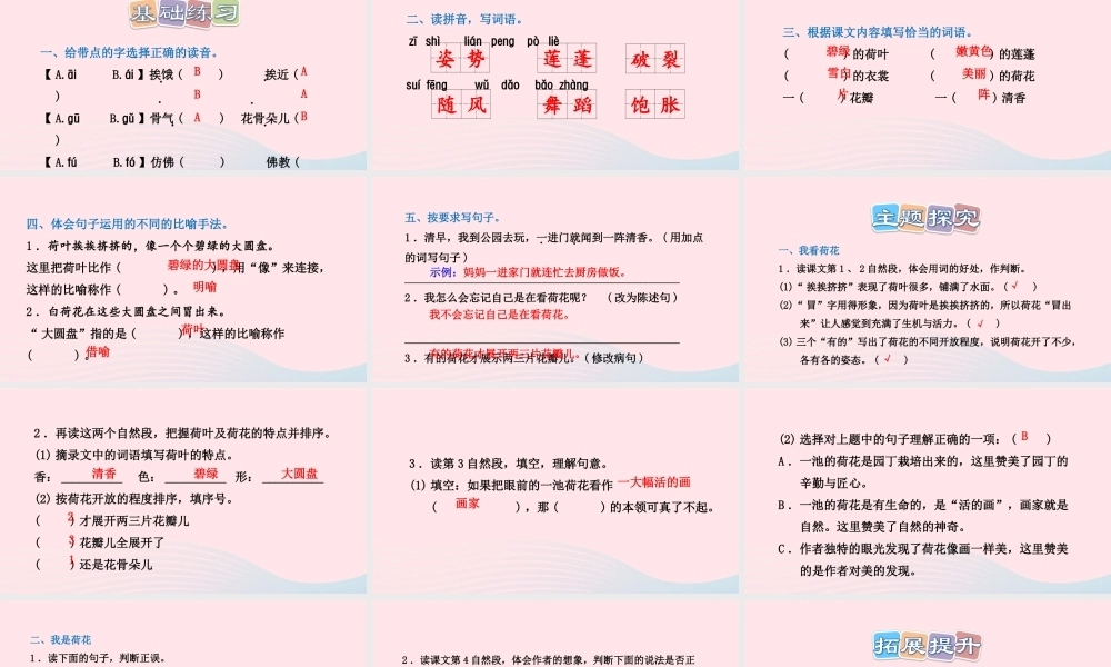 三年级语文下册 第一单元 第3课 荷花习题课件 新人教版-新人教版小学三年级下册语文课件