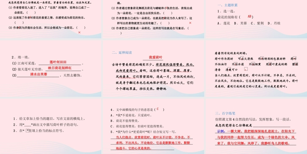 三年级语文下册 第一单元 第3课 荷花习题课件 新人教版-新人教版小学三年级下册语文课件