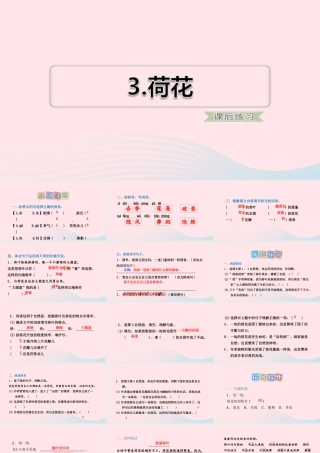 三年级语文下册 第一单元 第3课 荷花习题课件 新人教版-新人教版小学三年级下册语文课件