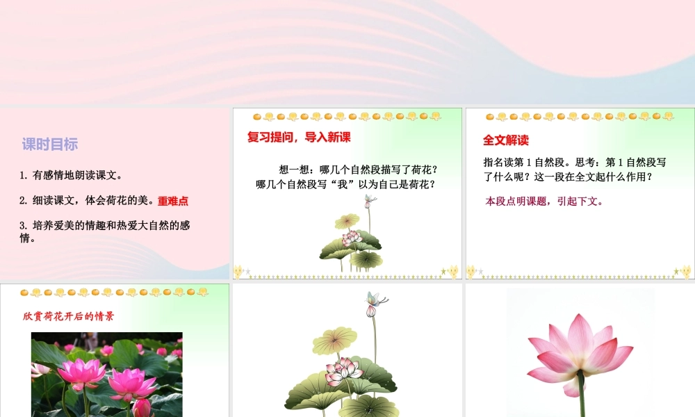 三年级语文下册 第一单元 第3课《荷花》（第2课时）课件 新人教版-新人教版小学三年级下册语文课件
