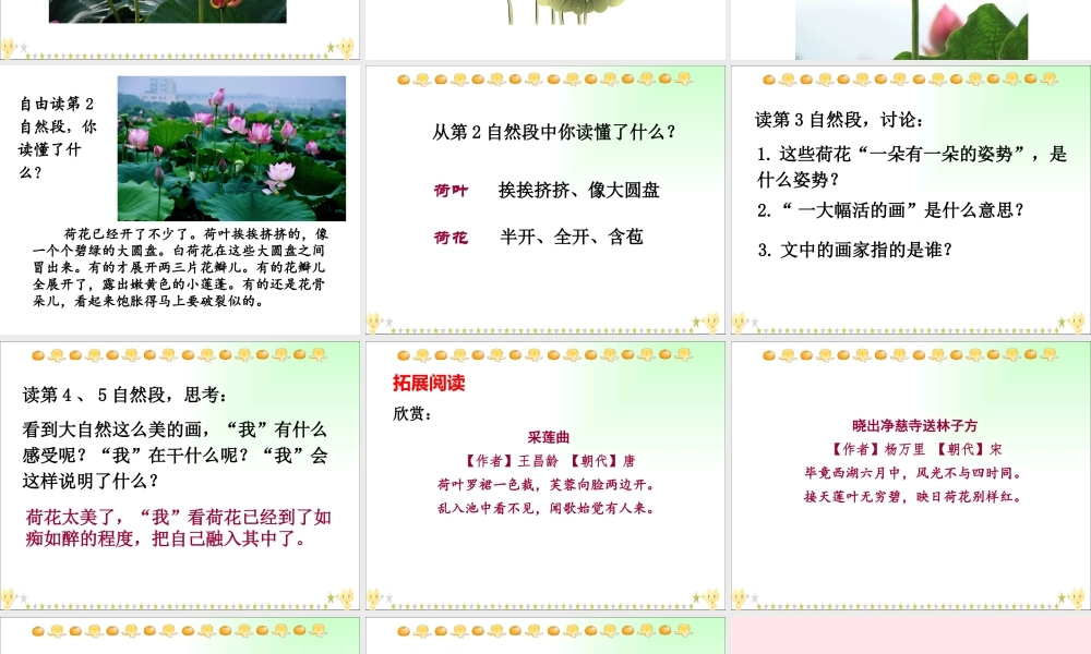 三年级语文下册 第一单元 第3课《荷花》（第2课时）课件 新人教版-新人教版小学三年级下册语文课件