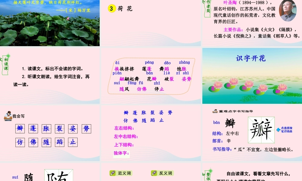 三年级语文下册 第一单元 第3课《荷花》课件 新人教版-新人教版小学三年级下册语文课件