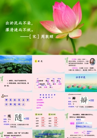 三年级语文下册 第一单元 第3课《荷花》课件 新人教版-新人教版小学三年级下册语文课件
