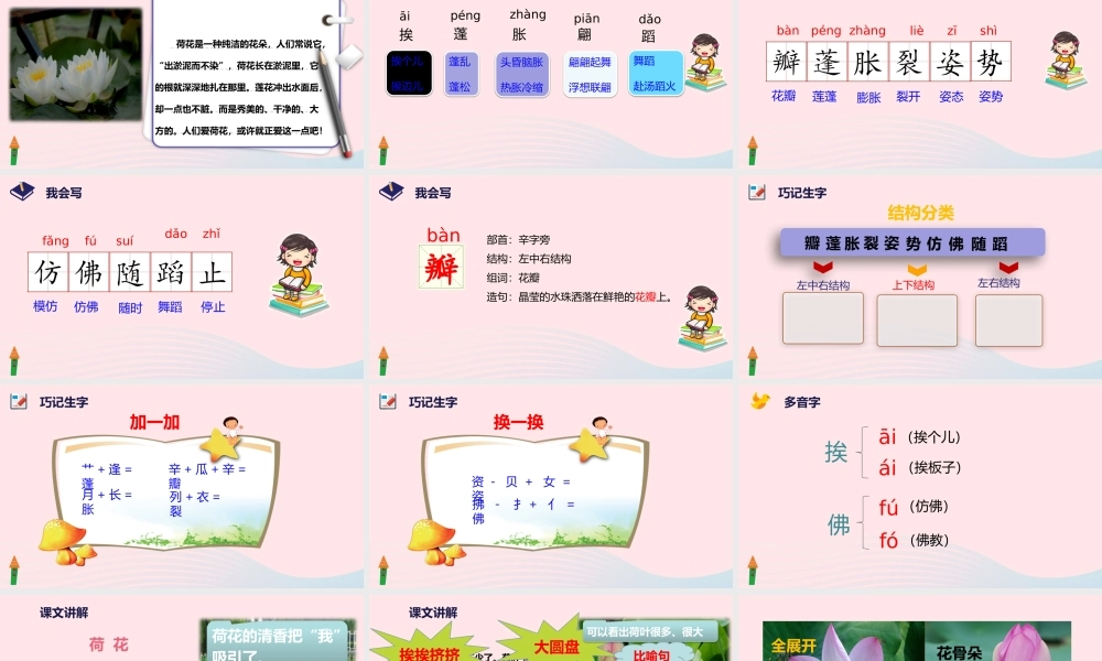 三年级语文下册 第一单元 第3课《荷花》课件 新人教版-新人教级下册语文课件