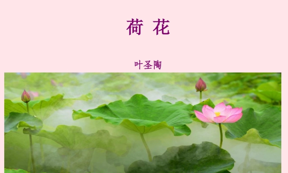三年级语文下册 第一单元 第3课《荷花》课件1 新人教版-新人教版小学三年级下册语文课件