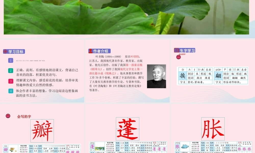 三年级语文下册 第一单元 第3课《荷花》课件1 新人教版-新人教版小学三年级下册语文课件