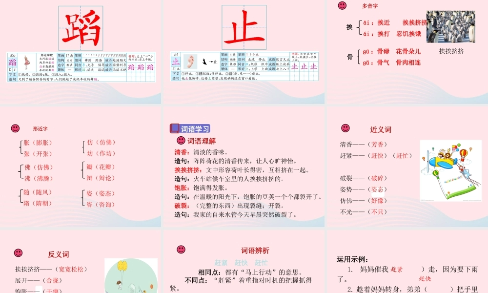 三年级语文下册 第一单元 第3课《荷花》课件1 新人教版-新人教版小学三年级下册语文课件