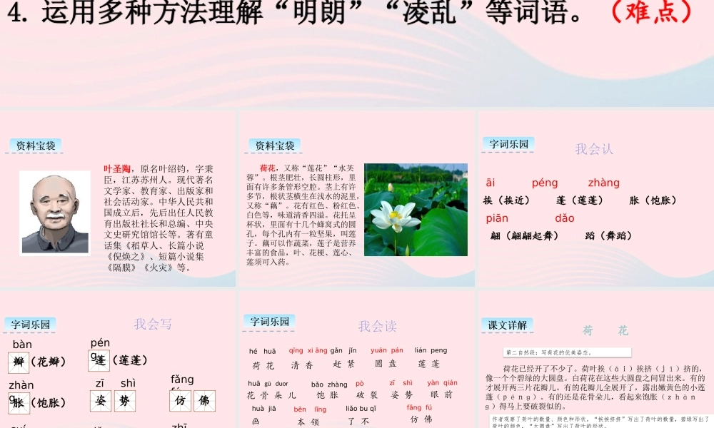 三年级语文下册 第一单元 第3课《荷花》课件1 新人教版-新人教级下册语文课件