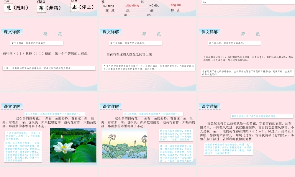 三年级语文下册 第一单元 第3课《荷花》课件1 新人教版-新人教级下册语文课件